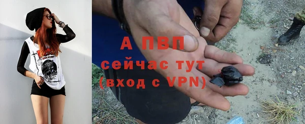 твердый Белокуриха