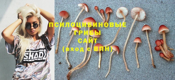 прущий лед Белоозёрский