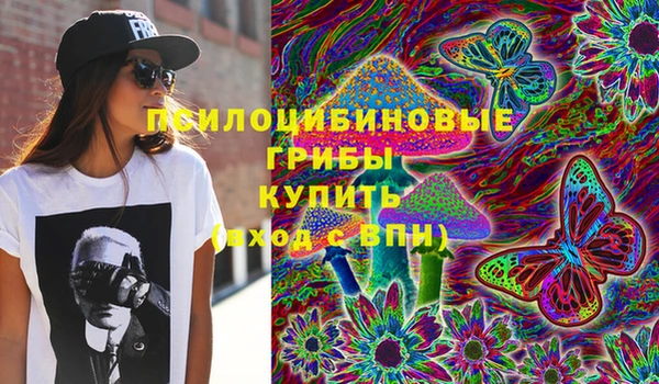 твердый Белокуриха